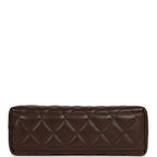 Small Kelly Shopper Dark Brown Lambskin Leather Gold-Tone Hardware