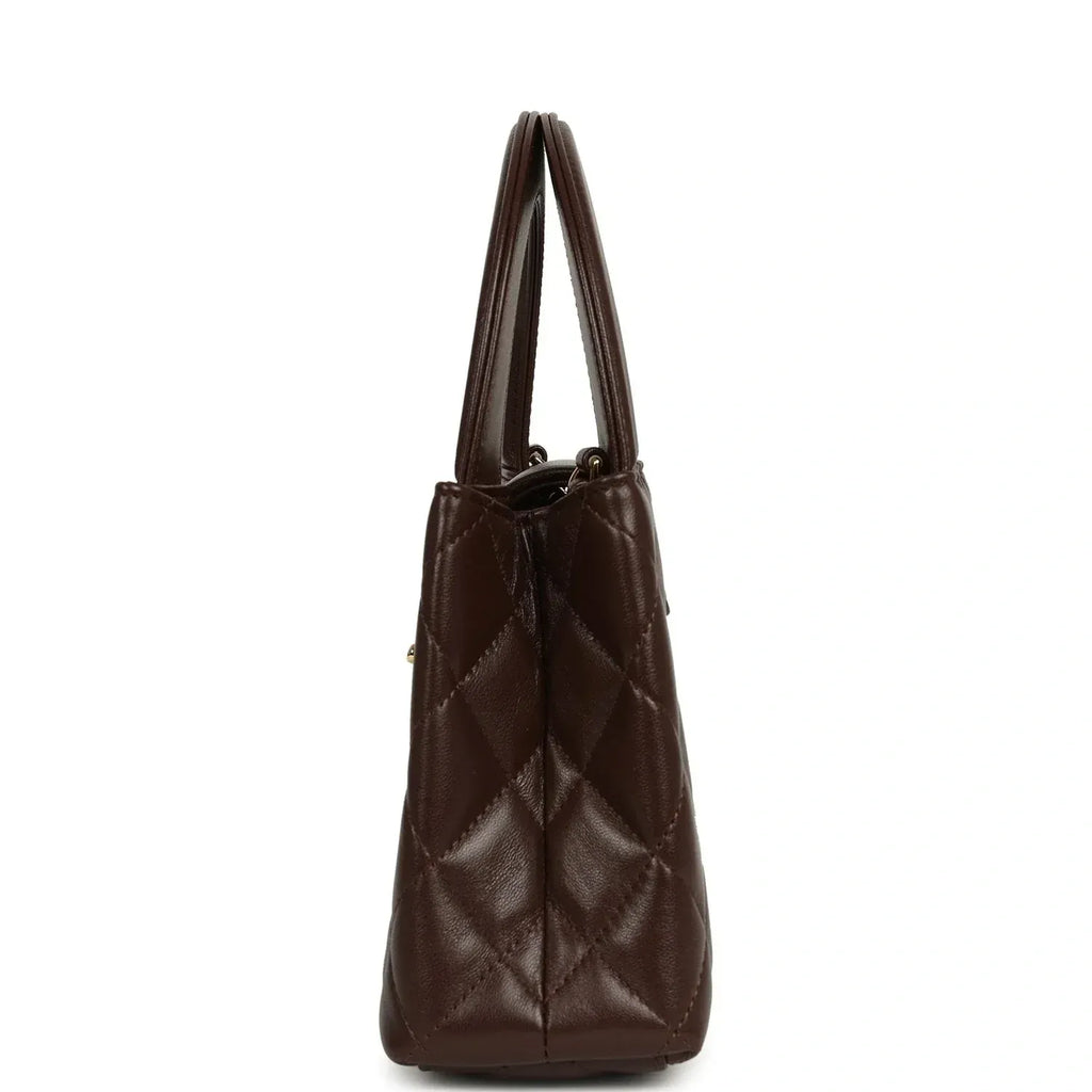 Small Kelly Shopper Dark Brown Lambskin Leather Gold-Tone Hardware